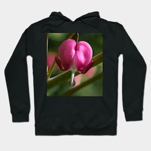 A single bleeding heart Hoodie